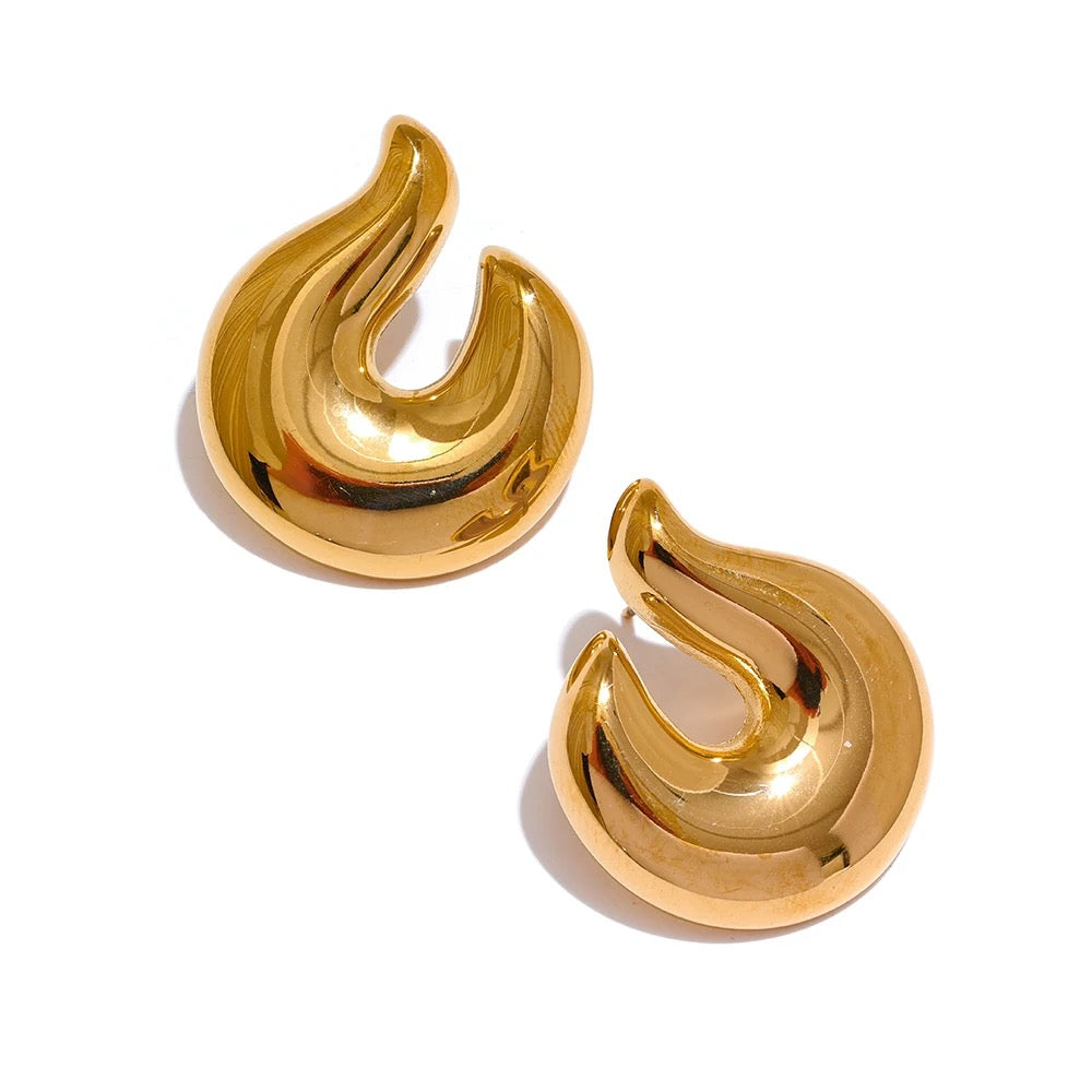 Curved Earrings